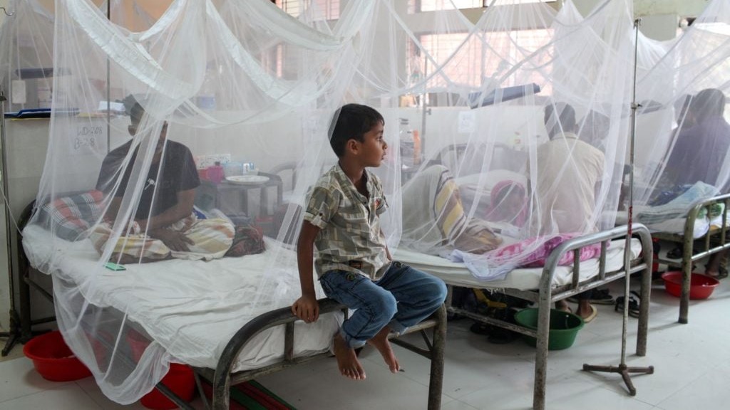 ২৪ ঘণ্টায় ডেঙ্গুতে ৯ জনের মৃত্যু, হাসপাতালে ১০৪২ জন